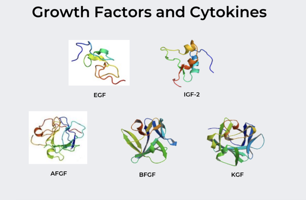 Yếu tố tăng trưởng và Cytokines trong Biosome