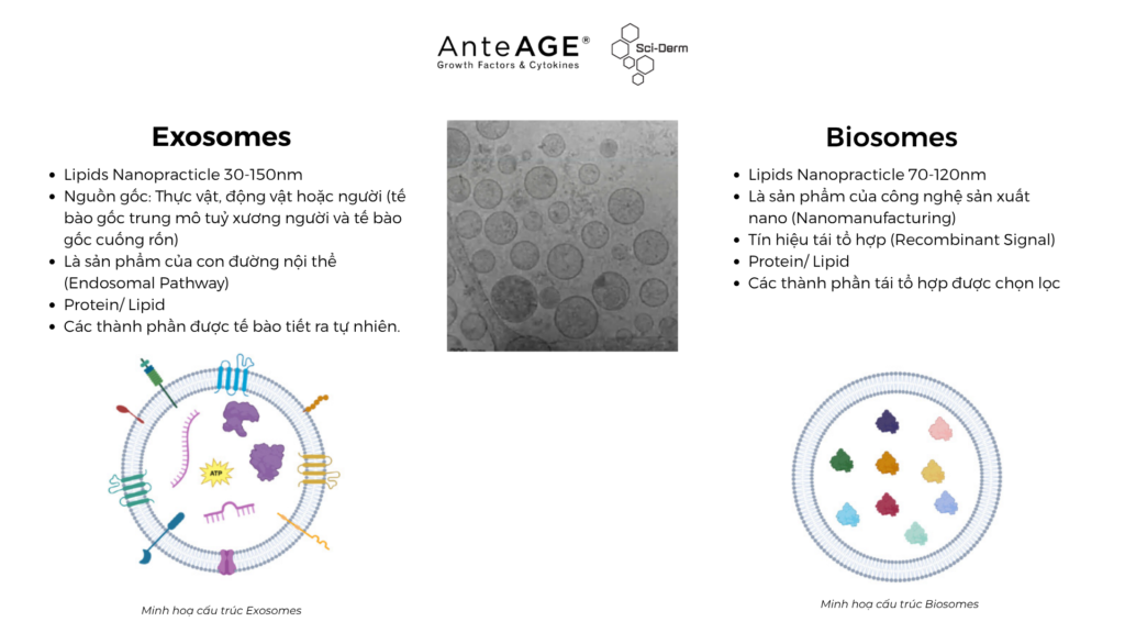Sự khác biệt giữa công nghệ Exosome và Biosome